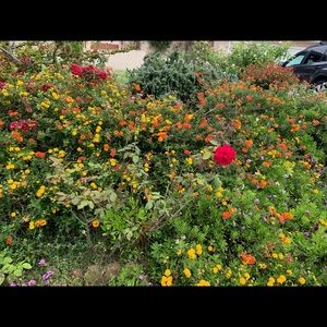 Meet your Posher, Farmus